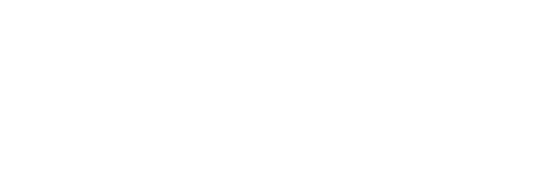 The Development Group Logo